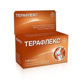 ТЕРАФЛЕКС капс. фл. №120
