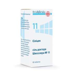 СИЛИЦЕЯ СОЛЬ ДОКТОРА ШЮССЛЕРА №11 табл. 250 мг фл. №80