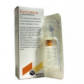 КАТЕДЖЕЛЬ С ЛИДОКАИНОМ гель шприц-туба 12,5 г №25