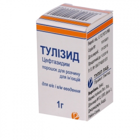 ТУЛИЗИД порошок для раствора для ин. 1 г фл. №1