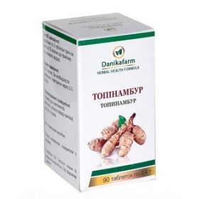 ТОПИНАМБУР ДОБАВКА ДИЕТИЧЕСКАЯ табл. 400 мг №90