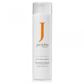 ШАМПУНЬ ЧЕРНАЯ ГРЯЗЬ JERICHO 300г туба