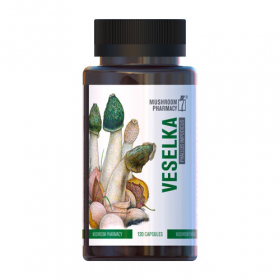 ВЕСЕЛКА капс. №120