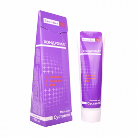 ХОНДРОМАГ «БИШОФИТ-Mg++» мазь 100мл